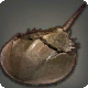 Crabe casqué