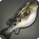 Poisson globe