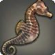 Hippocampe