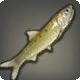 Sardine sélénite