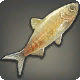 Poisson aveugle