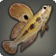 Poisson grenouille