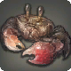 Crabe des rivières
