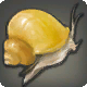 Escargot-gland