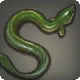 Anguille de jade