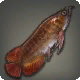 Arowana