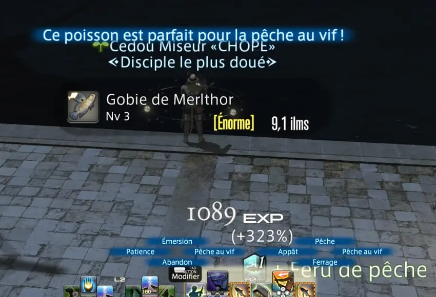 Capture d’un Gobie de Merlthor énorme utilisable pour la pêche au vif