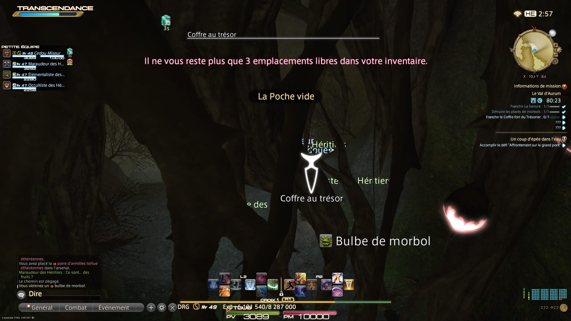 Le Bulbe de morbol obtenu dans le coffre de La Poche vide, avant le Trésorier.